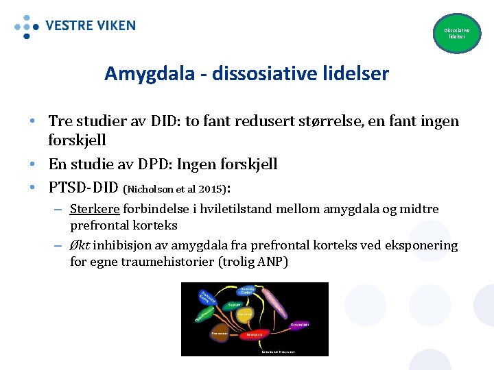 Dissosiative lidelser Amygdala - dissosiative lidelser • Tre studier av DID: to fant redusert