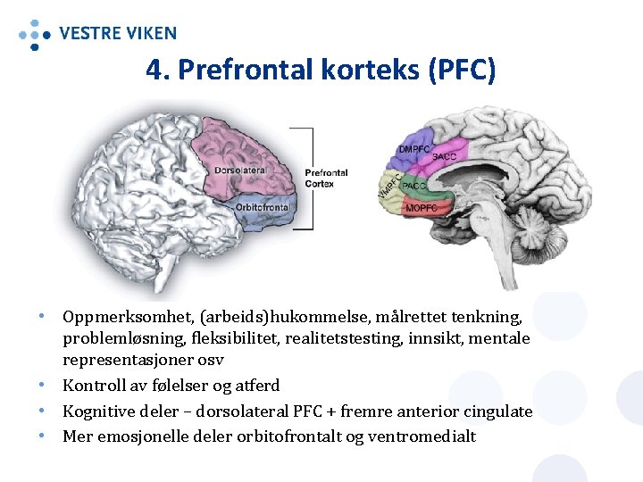 4. Prefrontal korteks (PFC) • Oppmerksomhet, (arbeids)hukommelse, målrettet tenkning, problemløsning, fleksibilitet, realitetstesting, innsikt, mentale