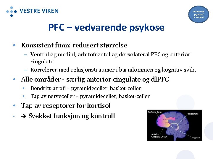 Vedvarende psykoser/ schizofreni PFC – vedvarende psykose • Konsistent funn: redusert størrelse – Ventral