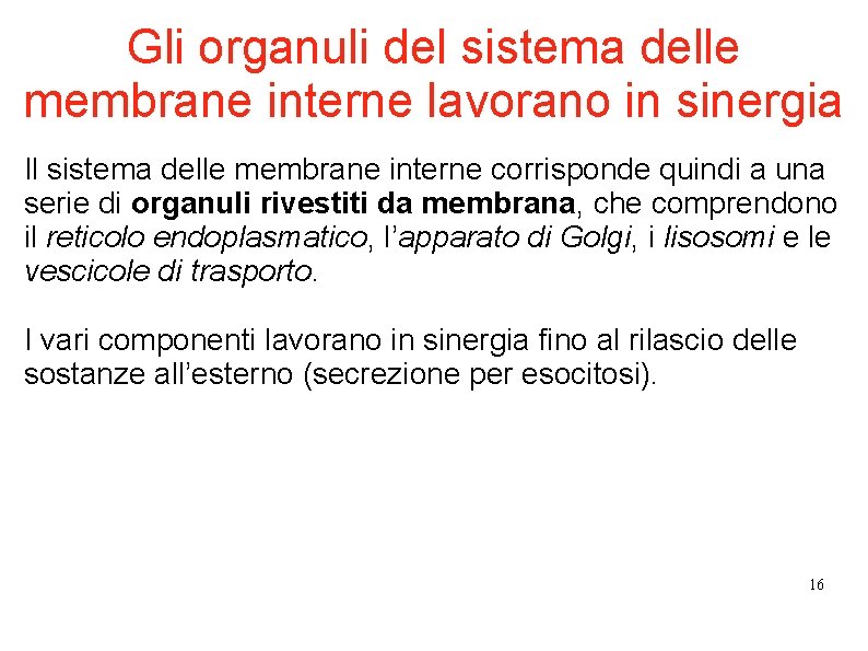 Gli organuli del sistema delle membrane interne lavorano in sinergia Il sistema delle membrane Gli organuli del sistema delle membrane interne lavorano in sinergia Il sistema delle membrane