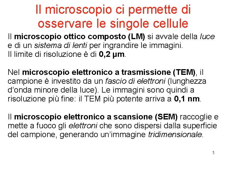 Il microscopio ci permette di osservare le singole cellule Il microscopio ottico composto (LM) Il microscopio ci permette di osservare le singole cellule Il microscopio ottico composto (LM)