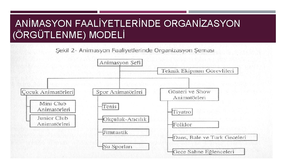 ANİMASYON FAALİYETLERİNDE ORGANİZASYON (ÖRGÜTLENME) MODELİ 