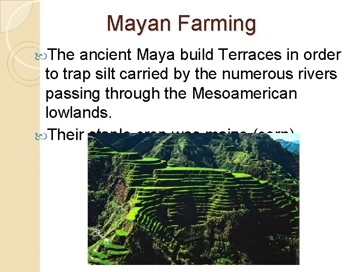 Mayan Farming The ancient Maya build Terraces in order to trap silt carried by