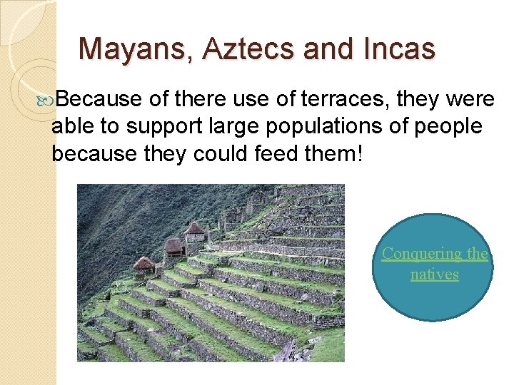 Mayans, Aztecs and Incas Because of there use of terraces, they were able to