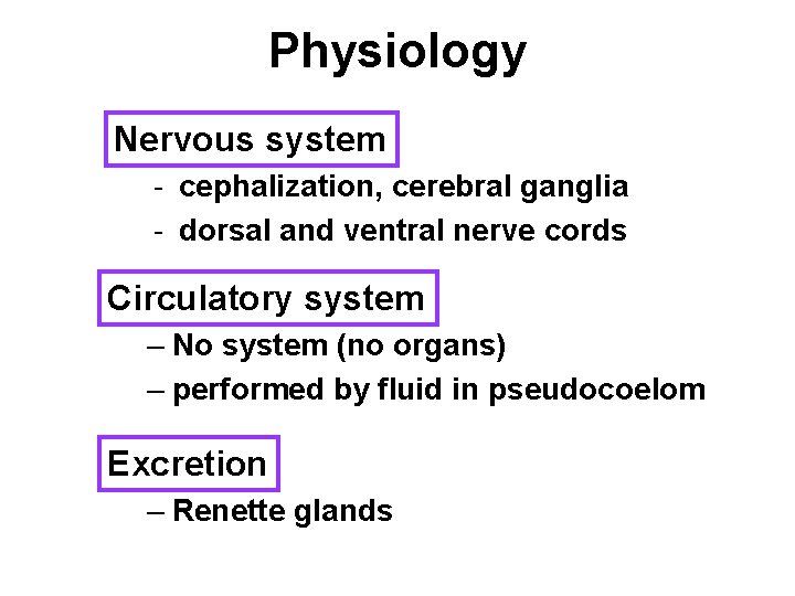 Physiology Nervous system - cephalization, cerebral ganglia - dorsal and ventral nerve cords Circulatory