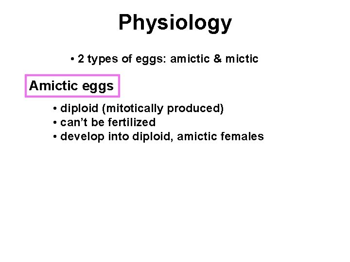 Physiology • 2 types of eggs: amictic & mictic Amictic eggs • diploid (mitotically