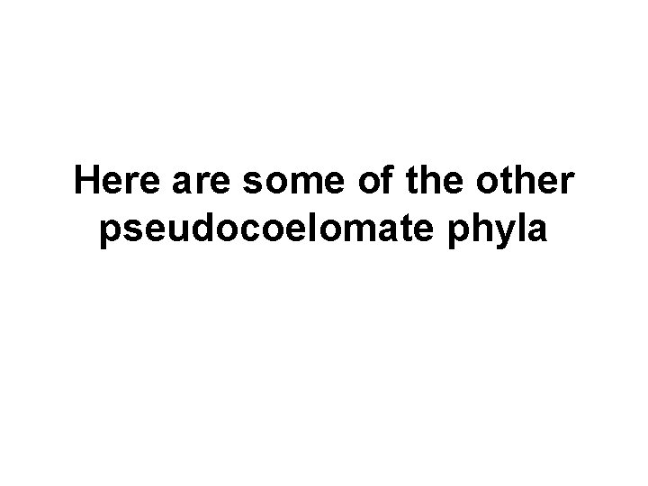 Here are some of the other pseudocoelomate phyla 