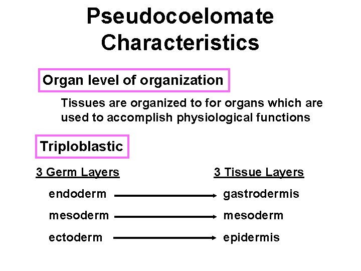 Pseudocoelomate Characteristics Organ level of organization Tissues are organized to for organs which are