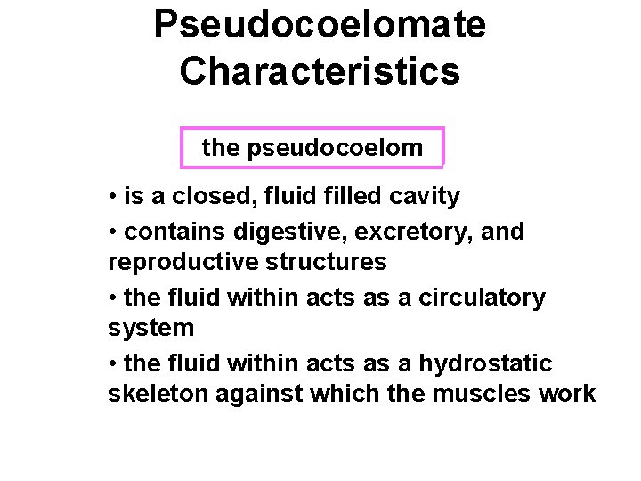 Pseudocoelomate Characteristics the pseudocoelom ectoderm • is a closed, fluid filled cavity • contains