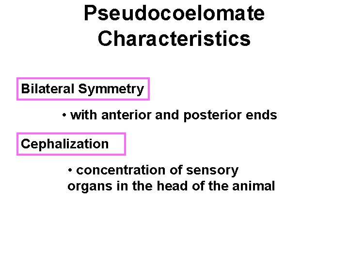 Pseudocoelomate Characteristics Bilateral Symmetry • with anterior and posterior ends Cephalization • concentration of