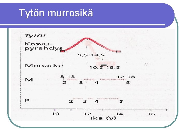 Tytön murrosikä 