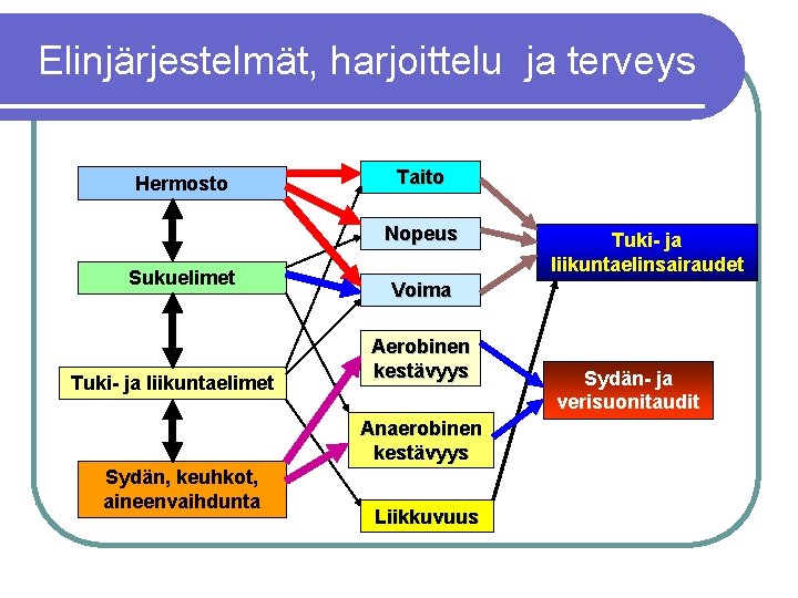 Elinjärjestelmät, harjoittelu ja terveys Hermosto Taito Nopeus Sukuelimet Tuki- ja liikuntaelimet Voima Aerobinen kestävyys