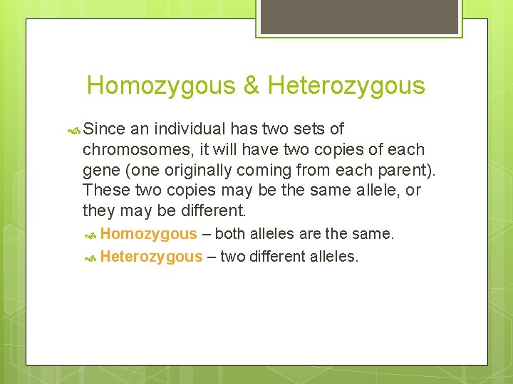 Homozygous & Heterozygous Since an individual has two sets of chromosomes, it will have