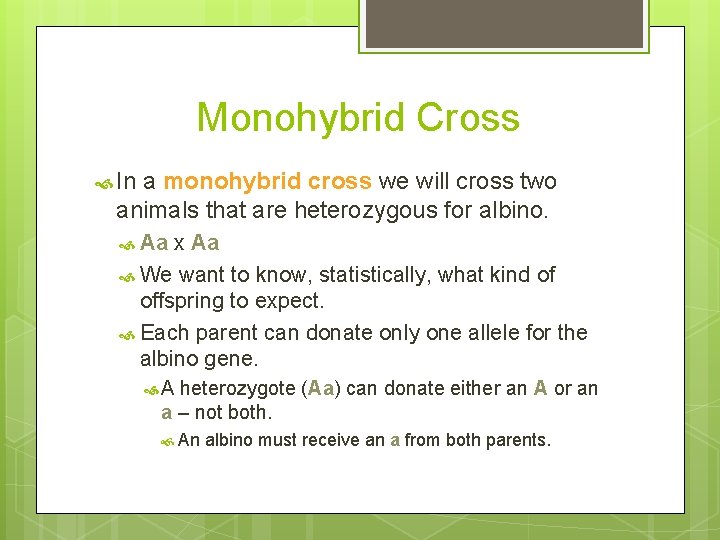 Monohybrid Cross In a monohybrid cross we will cross two animals that are heterozygous