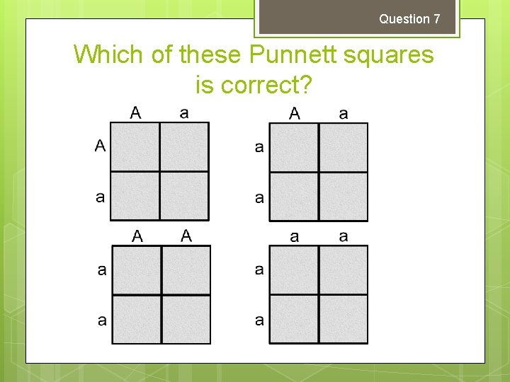 Question 7 Which of these Punnett squares is correct? 