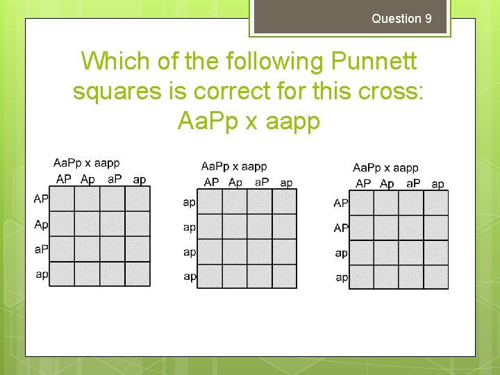 Question 9 Which of the following Punnett squares is correct for this cross: Aa. Question 9 Which of the following Punnett squares is correct for this cross: Aa.