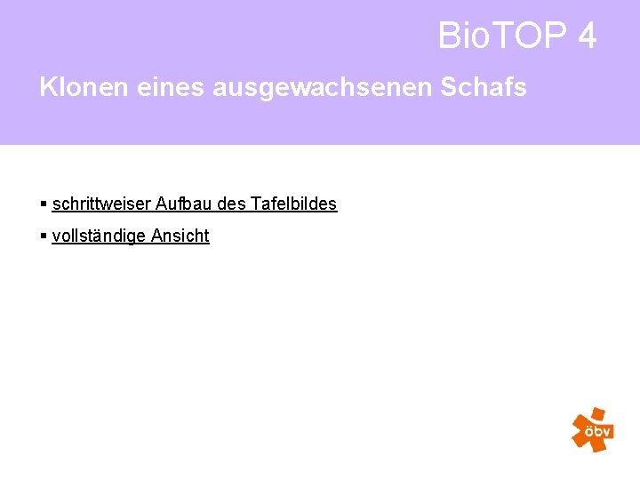 Bio. TOP 4 Klonen eines ausgewachsenen Schafs § schrittweiser Aufbau des Tafelbildes § vollständige