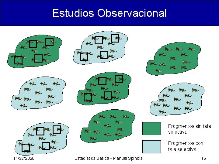 Estudios Observacional Fragmentos sin tala selectiva Fragmentos con tala selectiva 11/22/2020 Estadística Básica -