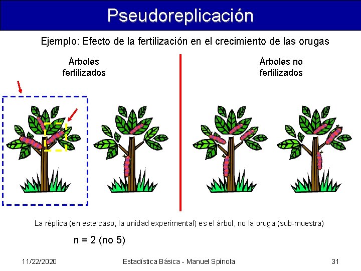Pseudoreplicación Ejemplo: Efecto de la fertilización en el crecimiento de las orugas Árboles fertilizados