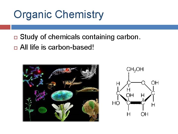 Organic Chemistry Study of chemicals containing carbon. All life is carbon-based! 