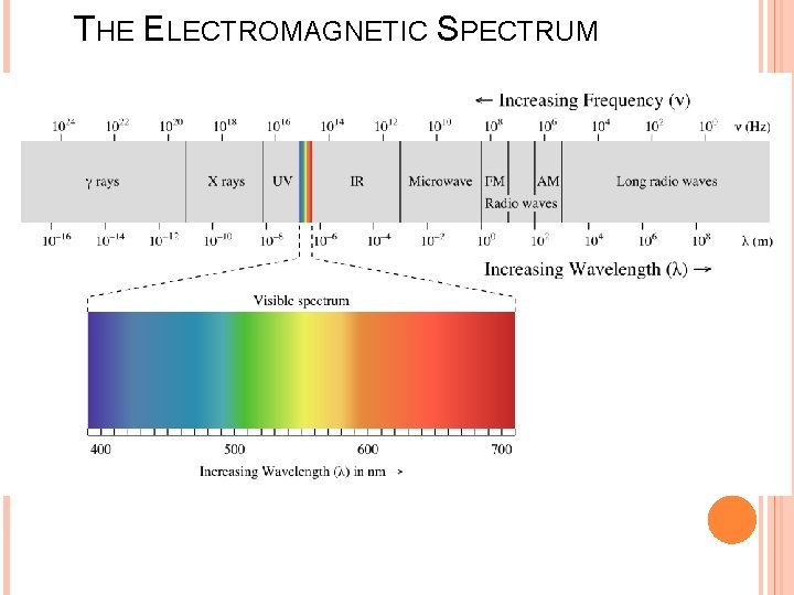 THE ELECTROMAGNETIC SPECTRUM 