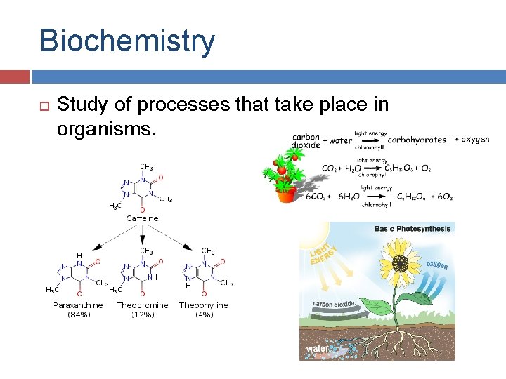 Biochemistry Study of processes that take place in organisms. 