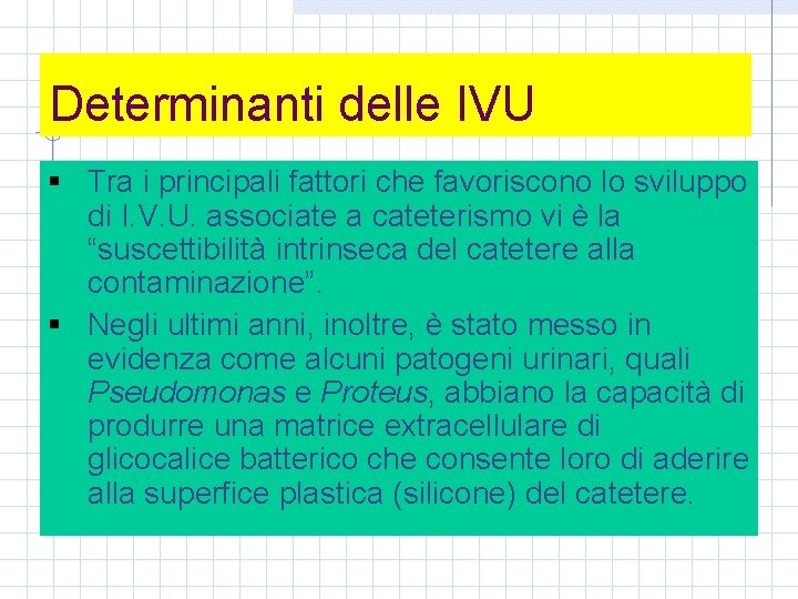 Determinanti delle IVU § Tra i principali fattori che favoriscono lo sviluppo di I.