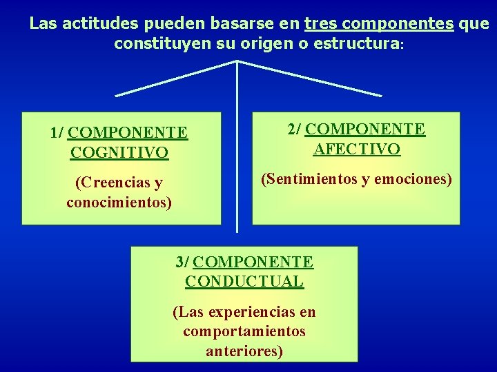 Las actitudes pueden basarse en tres componentes que constituyen su origen o estructura: 1/
