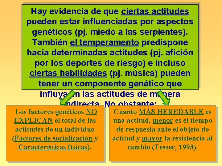 Hay evidencia de que ciertas actitudes pueden estar influenciadas por aspectos genéticos (pj. miedo