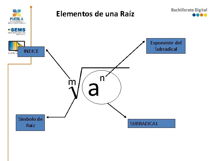 Elementos de una Raíz Exponente del Subradical INDICE m Símbolo de Raíz a n Elementos de una Raíz Exponente del Subradical INDICE m Símbolo de Raíz a n