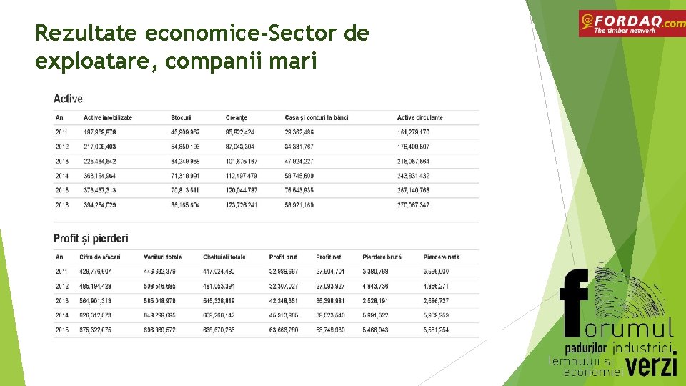 Rezultate economice-Sector de exploatare, companii mari 