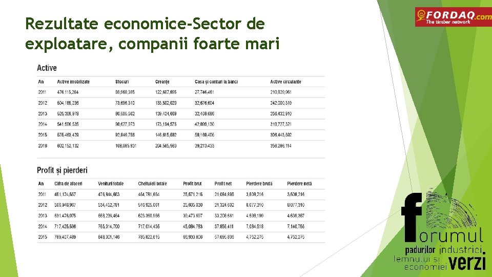 Rezultate economice-Sector de exploatare, companii foarte mari 