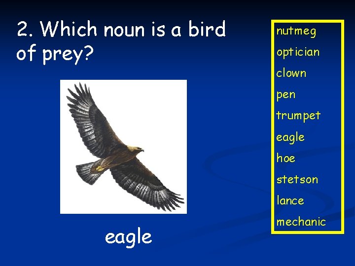 2. Which noun is a bird of prey? nutmeg optician clown pen trumpet eagle