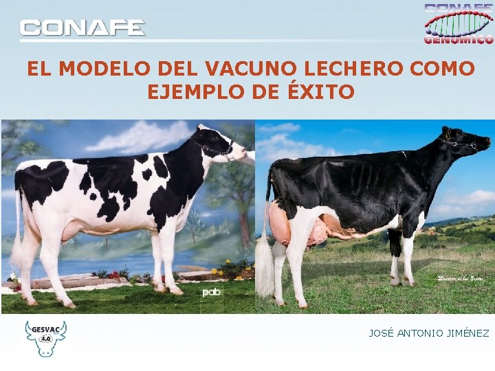 EL MODELO DEL VACUNO LECHERO COMO EJEMPLO DE ÉXITO JOSÉ ANTONIO JIMÉNEZ EL MODELO DEL VACUNO LECHERO COMO EJEMPLO DE ÉXITO JOSÉ ANTONIO JIMÉNEZ
