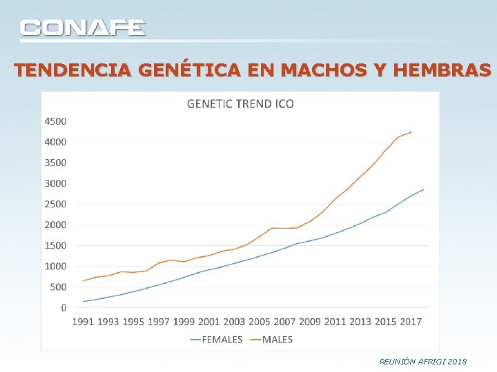 TENDENCIA GENÉTICA EN MACHOS Y HEMBRAS REUNIÓN AFRIGI 2018 TENDENCIA GENÉTICA EN MACHOS Y HEMBRAS REUNIÓN AFRIGI 2018
