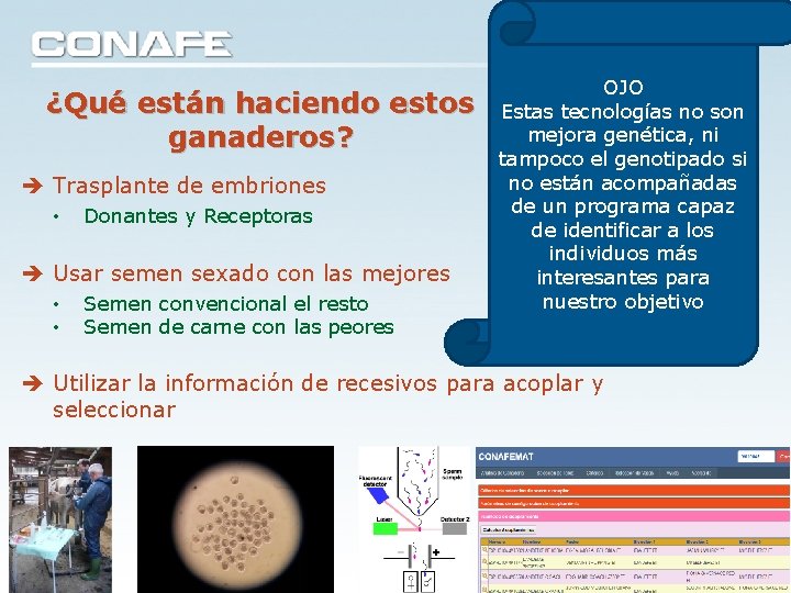 ¿Qué están haciendo estos ganaderos? Trasplante de embriones • Donantes y Receptoras Usar semen ¿Qué están haciendo estos ganaderos? Trasplante de embriones • Donantes y Receptoras Usar semen