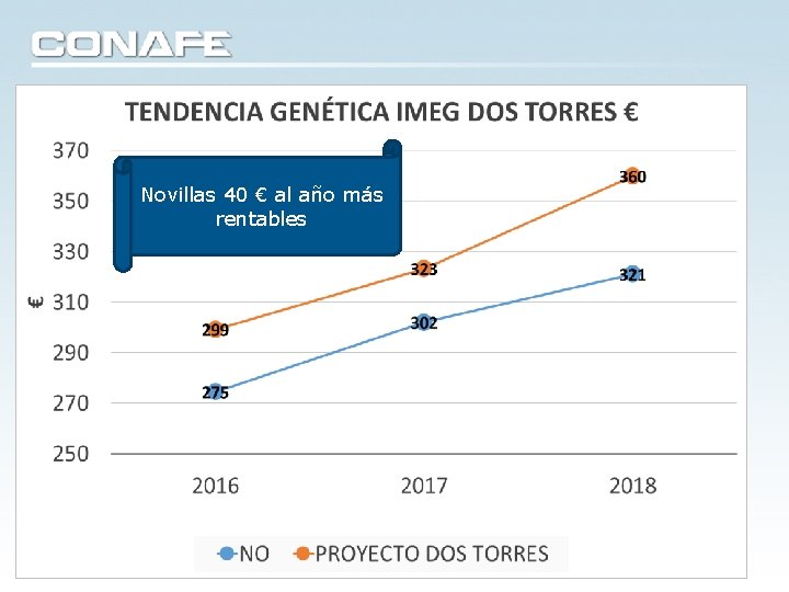Novillas 40 € al año más rentables Novillas 40 € al año más rentables