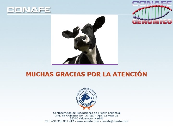 MUCHAS GRACIAS POR LA ATENCIÓN MUCHAS GRACIAS POR LA ATENCIÓN