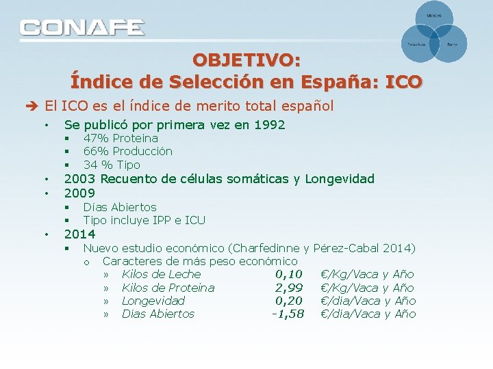 OBJETIVO: Índice de Selección en España: ICO El ICO es el índice de merito OBJETIVO: Índice de Selección en España: ICO El ICO es el índice de merito