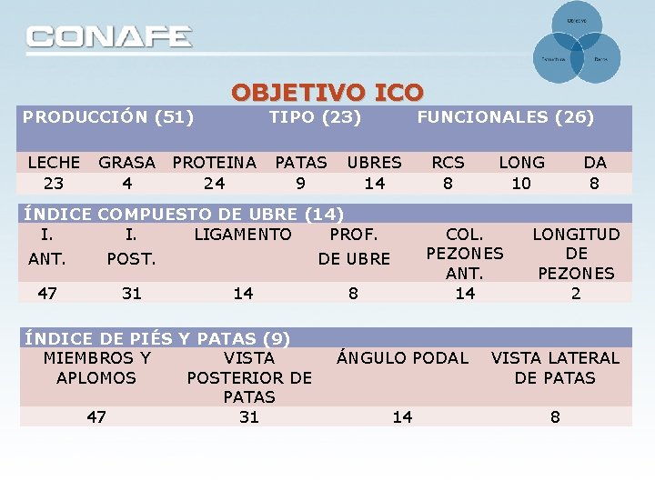 PRODUCCIÓN (51) LECHE 23 OBJETIVO ICO TIPO (23) GRASA PROTEINA 4 24 PATAS 9 PRODUCCIÓN (51) LECHE 23 OBJETIVO ICO TIPO (23) GRASA PROTEINA 4 24 PATAS 9