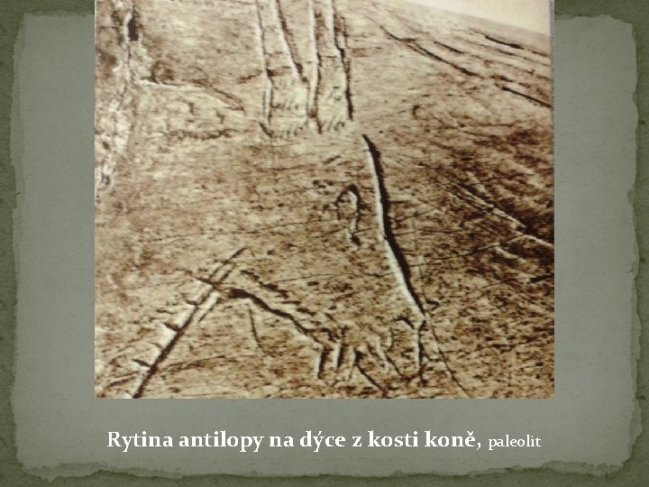 Rytina antilopy na dýce z kosti koně, paleolit 