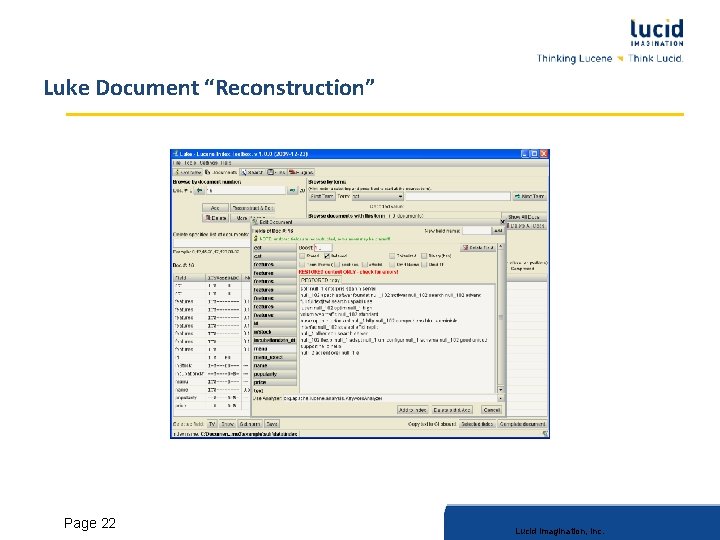 Luke Document “Reconstruction” Lucid Imagination, Inc. Page 22 Lucid Imagination, Inc. 