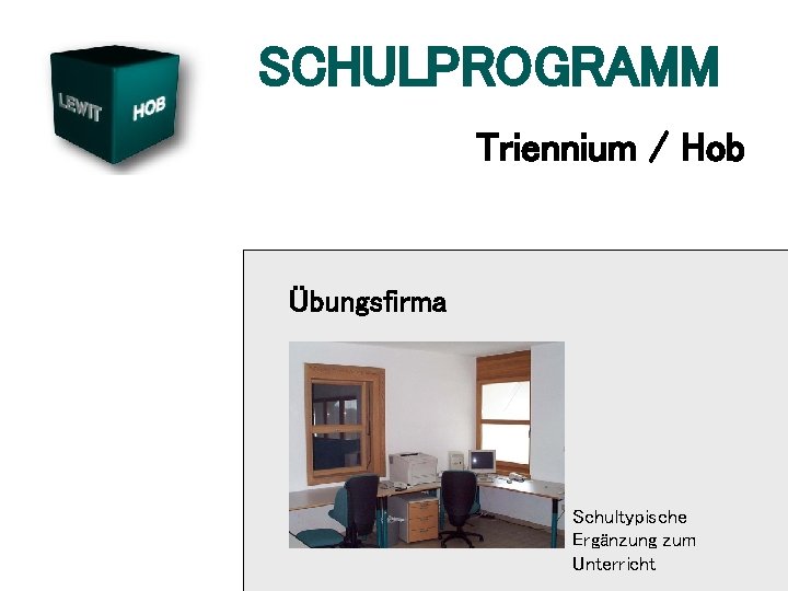 SCHULPROGRAMM Triennium / Hob Übungsfirma Schultypische Ergänzung zum Unterricht 