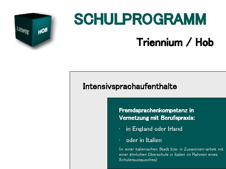 SCHULPROGRAMM Triennium / Hob Intensivsprachaufenthalte Fremdsprachenkompetenz in Vernetzung mit Berufspraxis: • in England oder