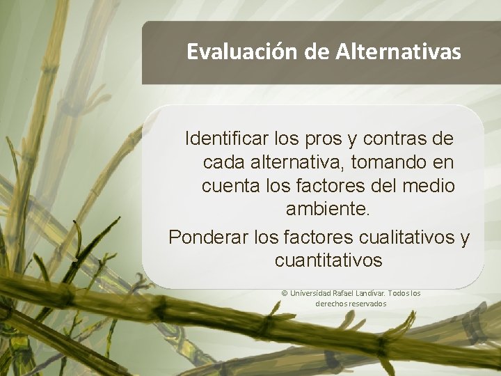 Evaluación de Alternativas Análisis de Casos Identificar los pros y contras de cada alternativa,