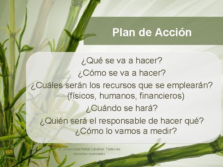 Plan de Acción Análisis de Casos ¿Qué se va a hacer? ¿Cómo se va