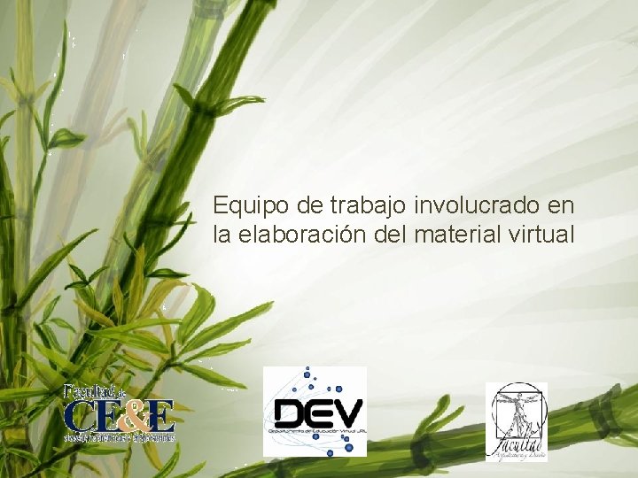 Equipo de trabajo involucrado en la elaboración del material virtual 