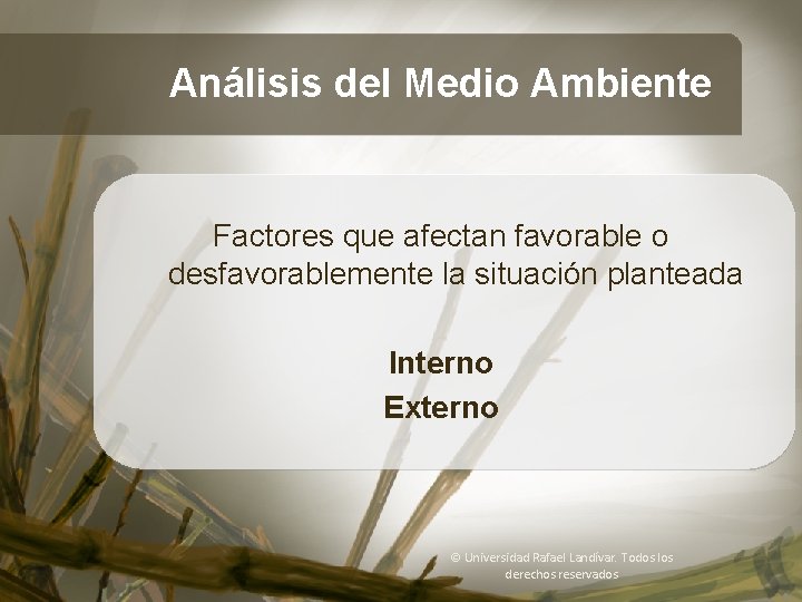 Análisis del Medio Ambiente Análisis de Casos Factores que afectan favorable o desfavorablemente la