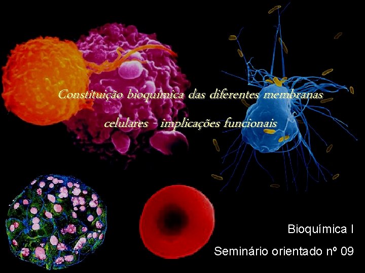 Constituição bioquímica das diferentes membranas celulares - implicações funcionais Bioquímica I Seminário orientado nº