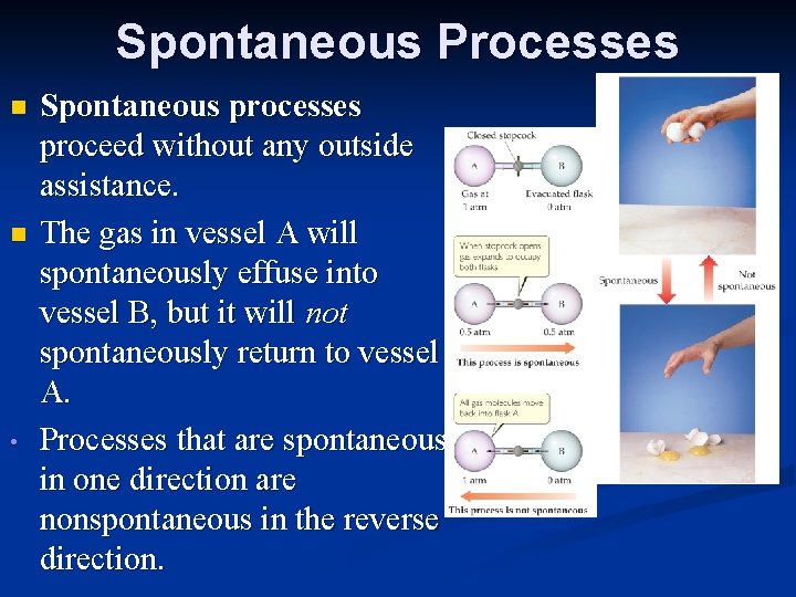 Spontaneous Processes n n • Spontaneous processes proceed without any outside assistance. The gas